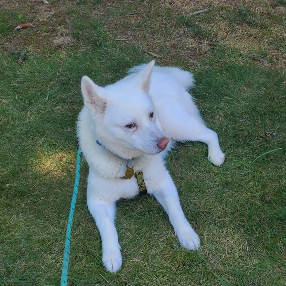 Unlisted special from my closet - Picture 9 of 13